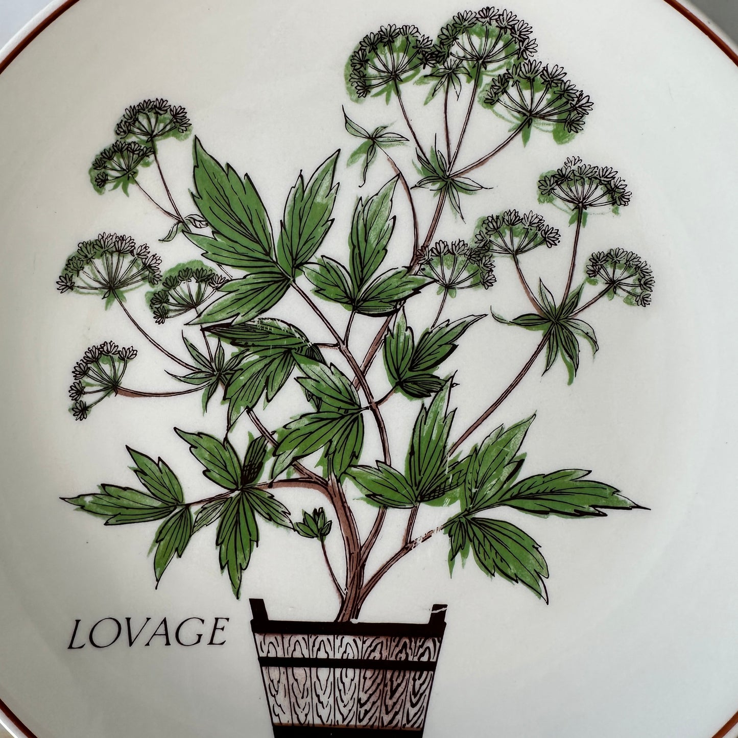 Nelson Lebo Herb Salad Plates - Set of 4