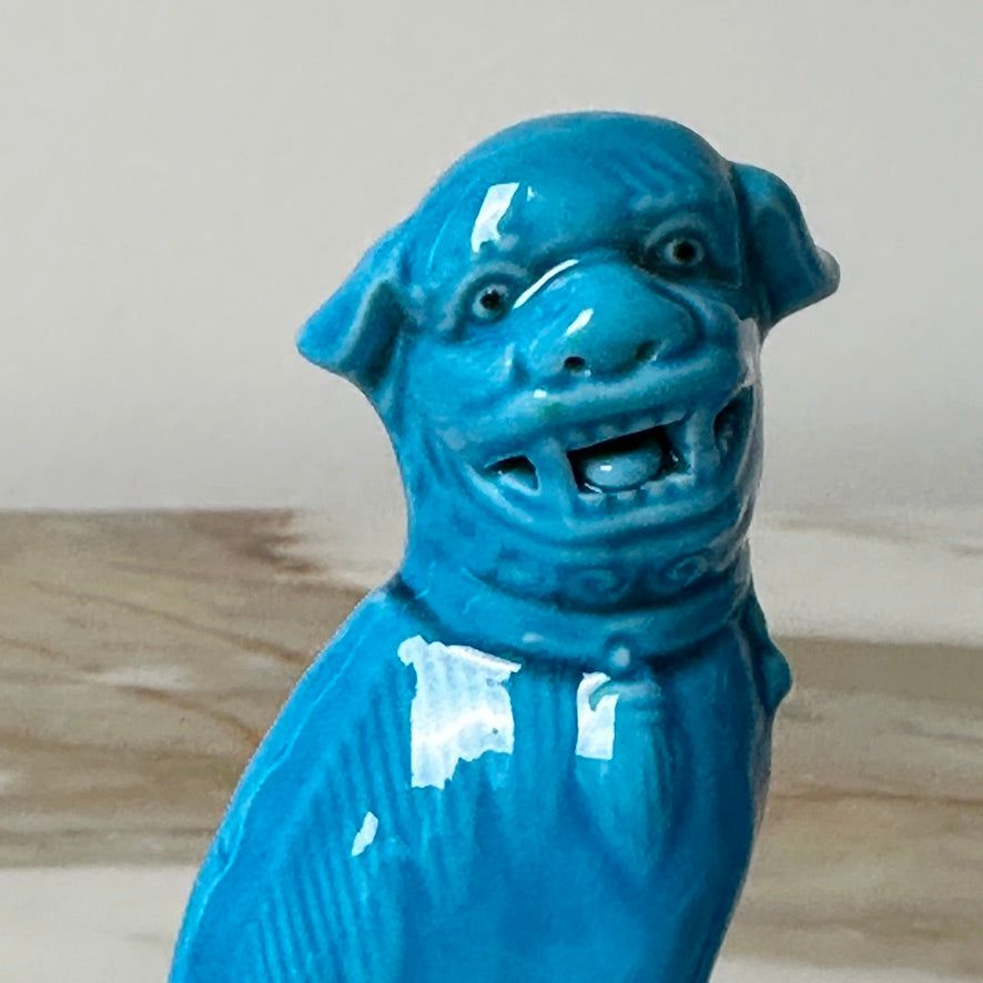 Small Turquoise Foo Dogs - Pair