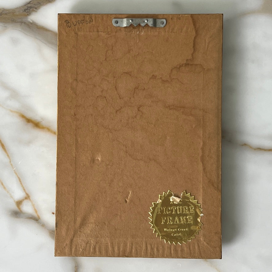 Wisent Europische and Bison Lithograph