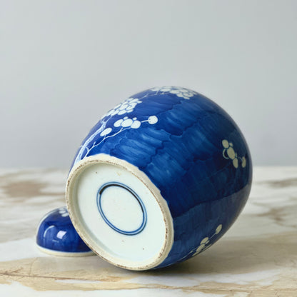 Prunus Hawthorn Ginger Jar