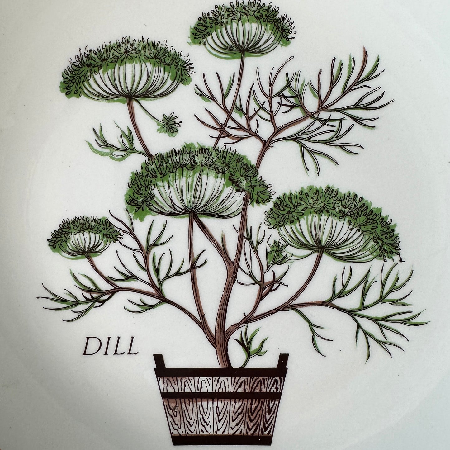 Nelson Lebo Herb Salad Plates - Set of 4