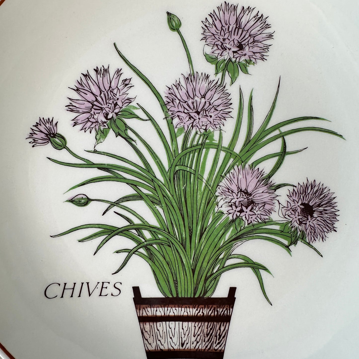 Nelson Lebo Herb Salad Plates - Set of 4